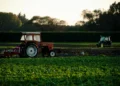 Governo Trump planeja distribuir ajuda a agricultores afetados por shutdown