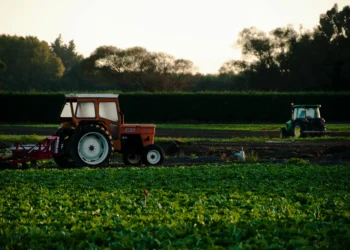 Governo Trump planeja distribuir ajuda a agricultores afetados por shutdown