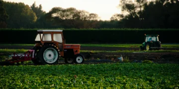 Governo Trump planeja distribuir ajuda a agricultores afetados por shutdown