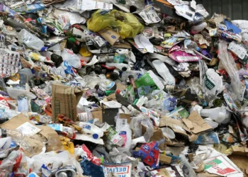 Químicos eternos encontrados no sangue de secretário de Estado português e outros líderes europeus