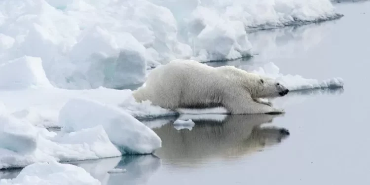 Vaticano lança conferência global sobre a crise climática