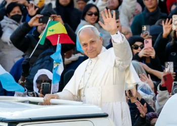 Leão XIV pede a todos uma “conversão ecológica integral”