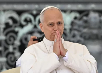 Leão XIV. Seis meses de um pontificado sem pressa