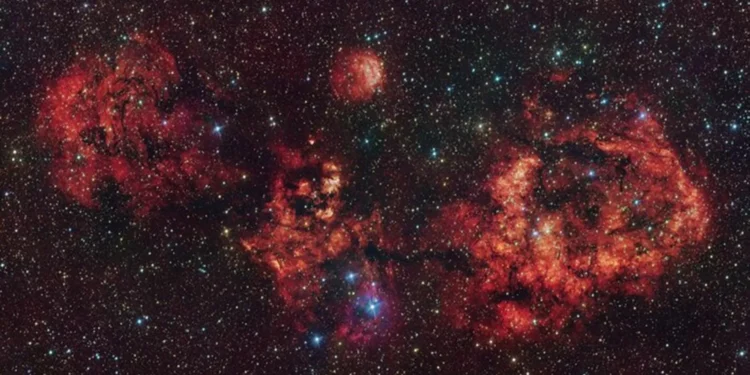 Telescópio deteta “morcego assustador” no espaço, mesmo “a tempo do Halloween”