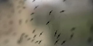 ​Moçambique regista mais de 10 milhões de casos de malária em nove meses