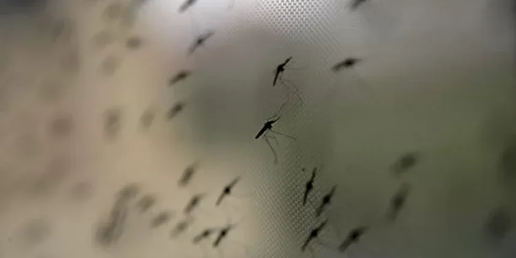 ​Moçambique regista mais de 10 milhões de casos de malária em nove meses