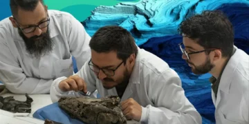 Descobertos fósseis de três répteis marinhos do período Cretácico na Colômbia