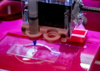 Modelo de pele humana amplia opções fora dos testes de cosméticos em animais