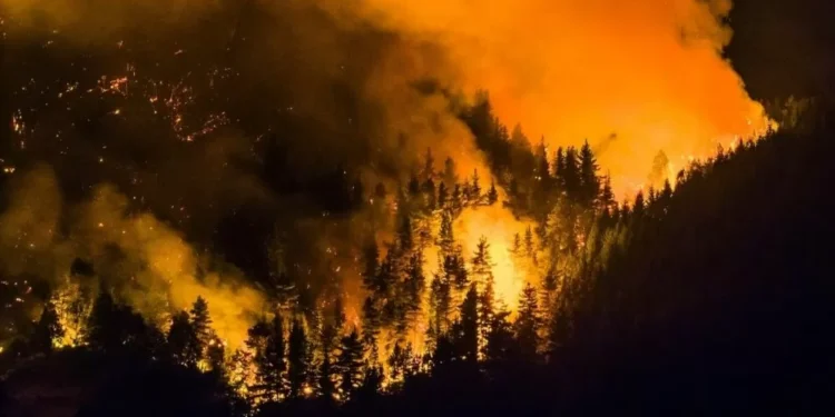 Incêndio florestal atinge Patagônia argentina e consome mais de 5.500 hectares