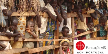 D. Aurélio Gazzera alerta para crise humanitária “alarmante” em Zémio