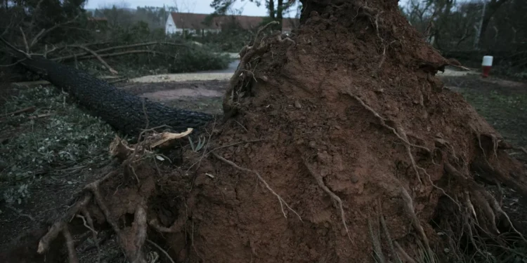 Bispo de Portalegre e Castelo Branco manifesta proximidade com vítimas de “tempestade brutal”