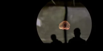 Treinar o cérebro com pensamento positivo pode ajudar sistema imunitário