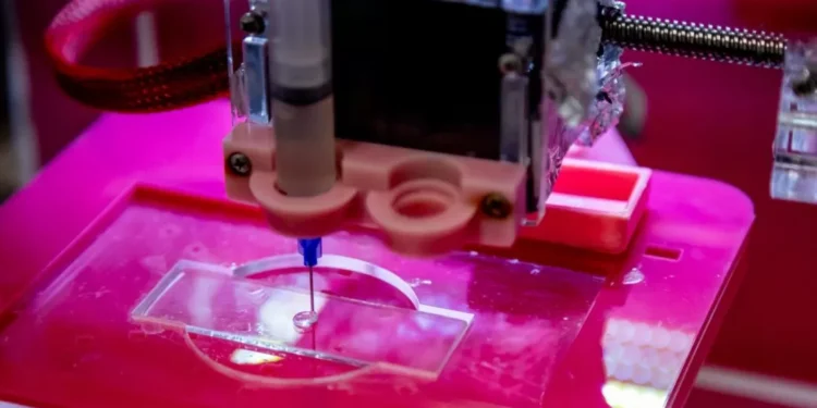 Modelo de pele humana amplia opções fora dos testes de cosméticos em animais