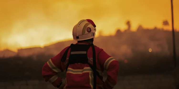 Força de 300 bombeiros vai combater incêndios florestais na União Europeia