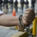 Médico luso venezuelano Pedro Fernandes libertado