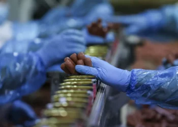 XX Congresso Nacional LOC/MTC: “Evangelizar, dignificando o mundo do trabalho”