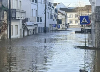 Arcebispo de Évora reforça apelo para ajuda a vitimas do temporal