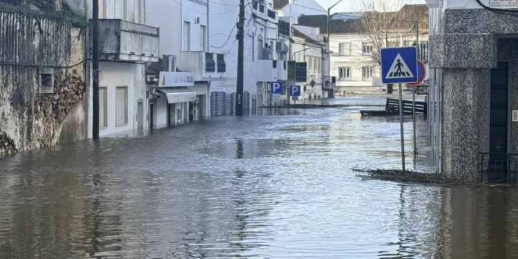 Arcebispo de Évora reforça apelo para ajuda a vitimas do temporal