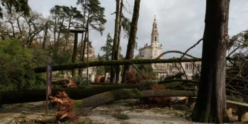 Mau tempo: Santuário de Fátima com mais de 2 milhões em prejuízos