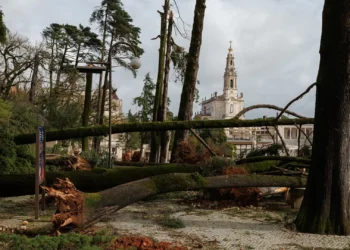 Reconstrução do património da Diocese de Leiria-Fátima custa pelo menos 12 milhões de euros