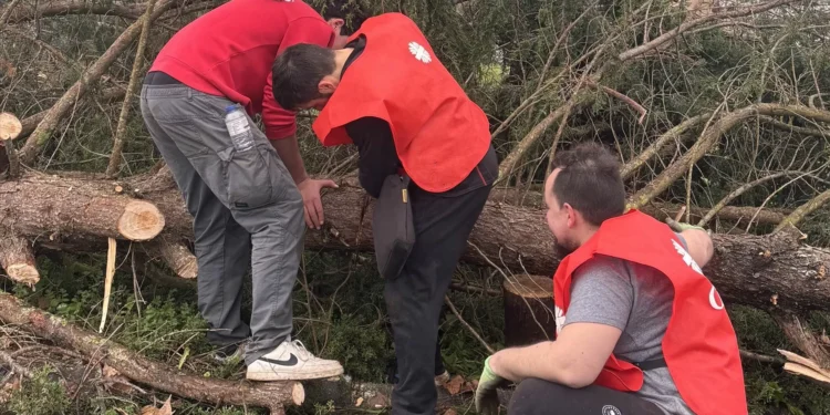 Emergência após a Tempestade Kristin está longe de estar concluída, alerta Cáritas de Leiria