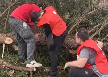Cáritas de Leiria angaria mais de 1,3 milhões de euros para vítimas da tempestade Kristin