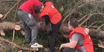Cáritas de Leiria angaria mais de 1,3 milhões de euros para vítimas da tempestade Kristin