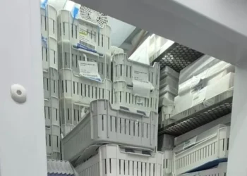 Polícia apreende 90 mil remédios ilegais para emagrecimento em SP