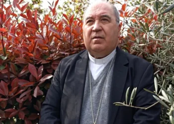 Bispo de Viseu convida fiéis a viver a Quaresma “com alegria e esperança”