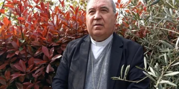 Bispo de Viseu convida fiéis a viver a Quaresma “com alegria e esperança”